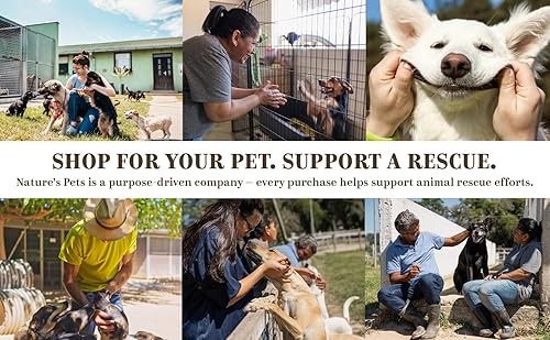 Miniatura 5 de Champú antipicazón para perros para alergias y piel sensible - Aceite de avena, aguacate, almendra, neem y manzanilla - Alergias, puntos calientes