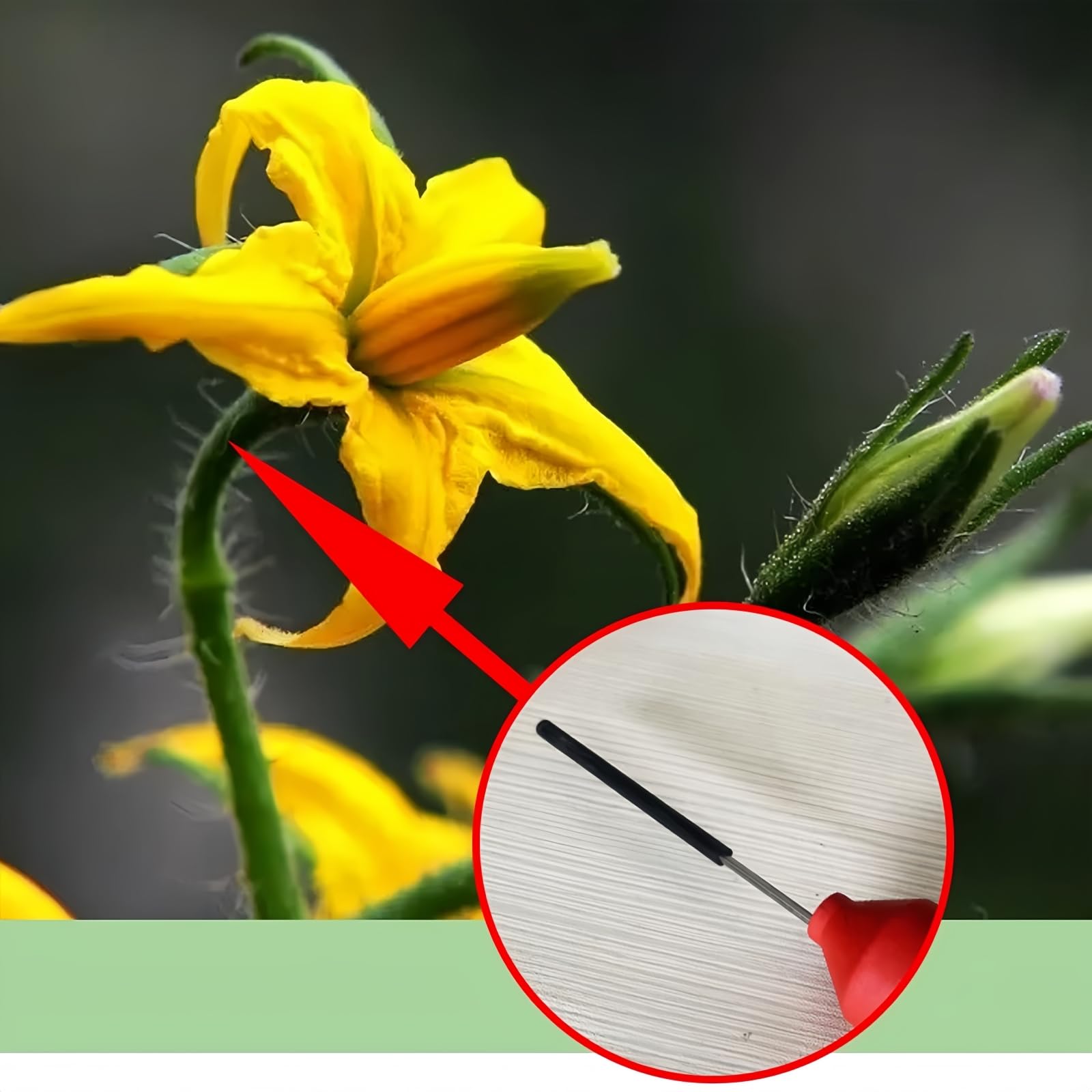 Polinizador Eléctrico Inalámbrico para Tomates, Herramienta De Polinización De Hortalizas con Indicador De Batería, Máquina De Polinización Rápida para Hortalizas De Interior Y De Invernadero.