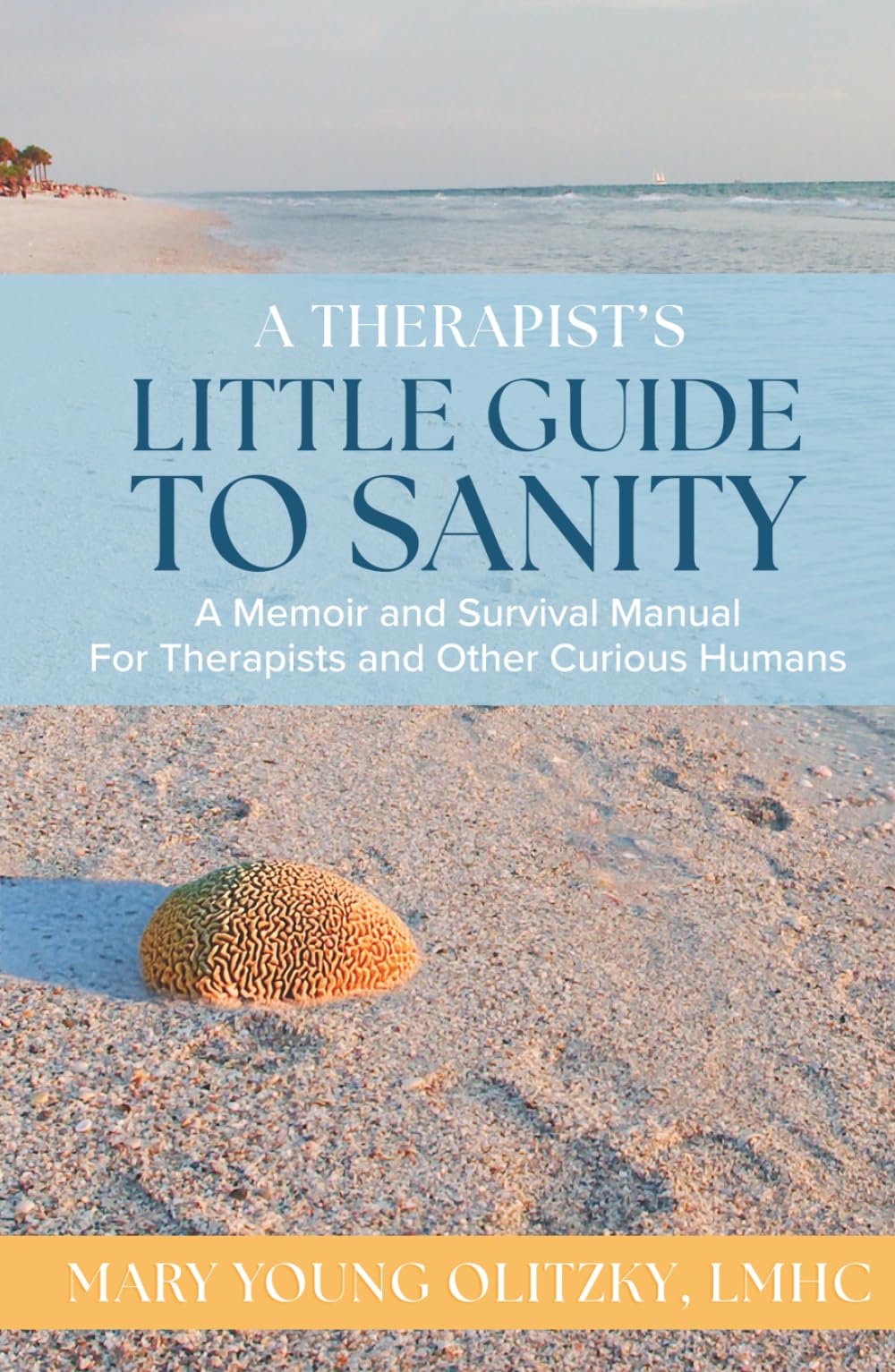 A Therapist's Little Guide to Sanity: A Memoir and Survival Manual for Therapists and Other Curious Humans