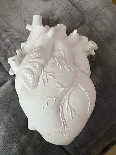 Miniatura 7 de KTYDRY Heart Shaped Vase for Flowers, Anatomical Heart Vase, Small Vases Bulk, Perfect for Home Decoration and Centerpieces, Unique Gift Idea.