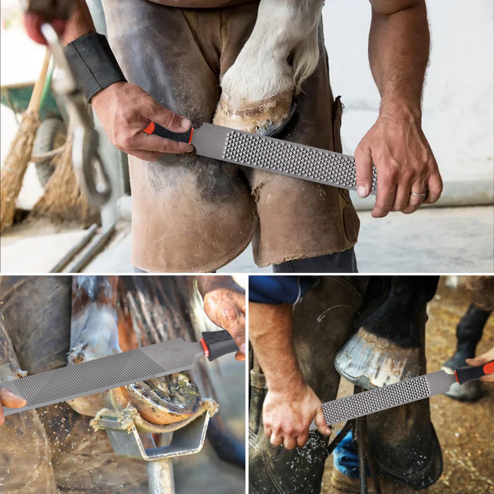 Escofina para Pezuñas de 32 cm con Mango de Goma, Cuidado de Caballos, Lado Fino y Grueso