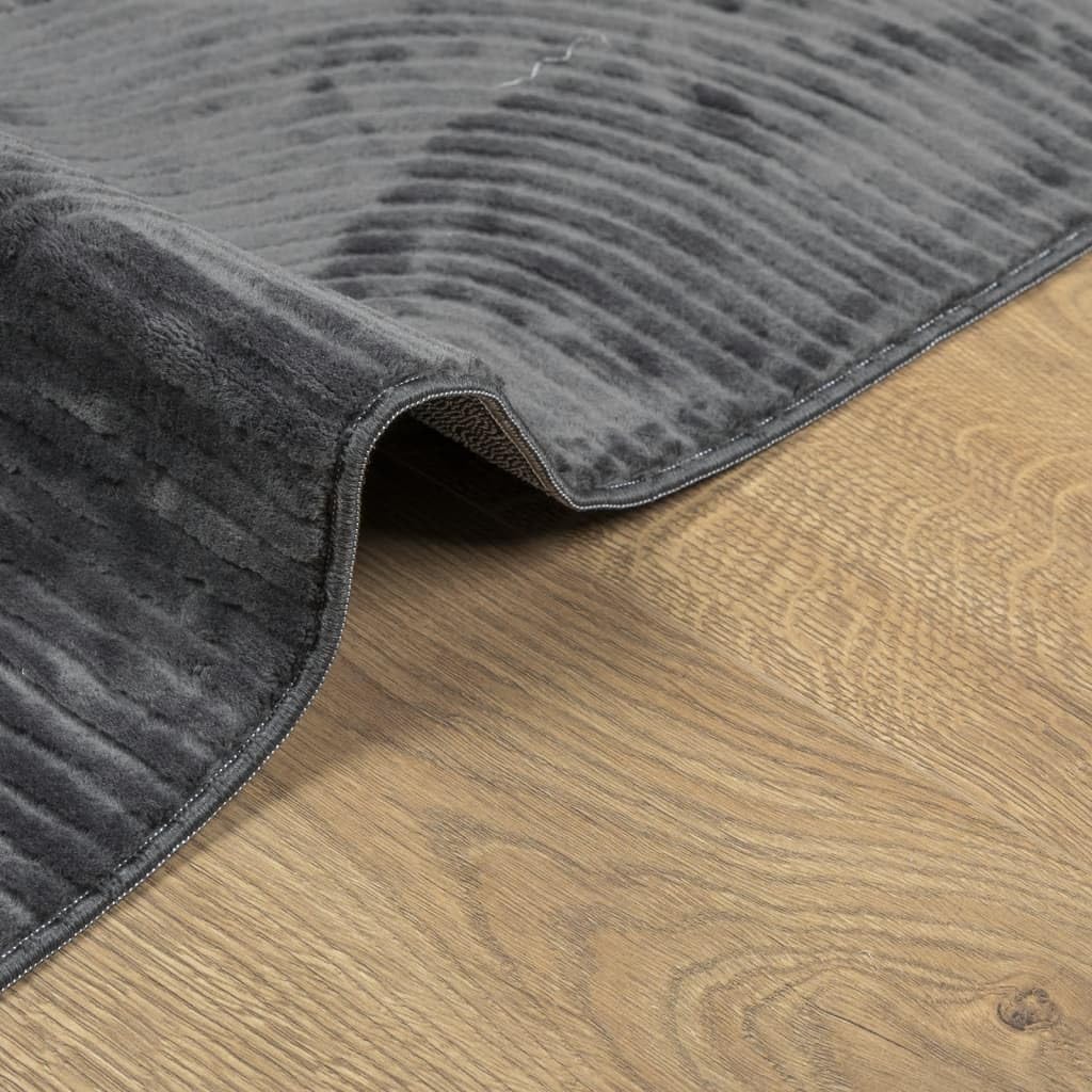Tapis IZA Poils Courts Style scandinave Anthracite 160x230 cm,Maison & Jardin,Décorations,Tapis,6.65 kg-375430