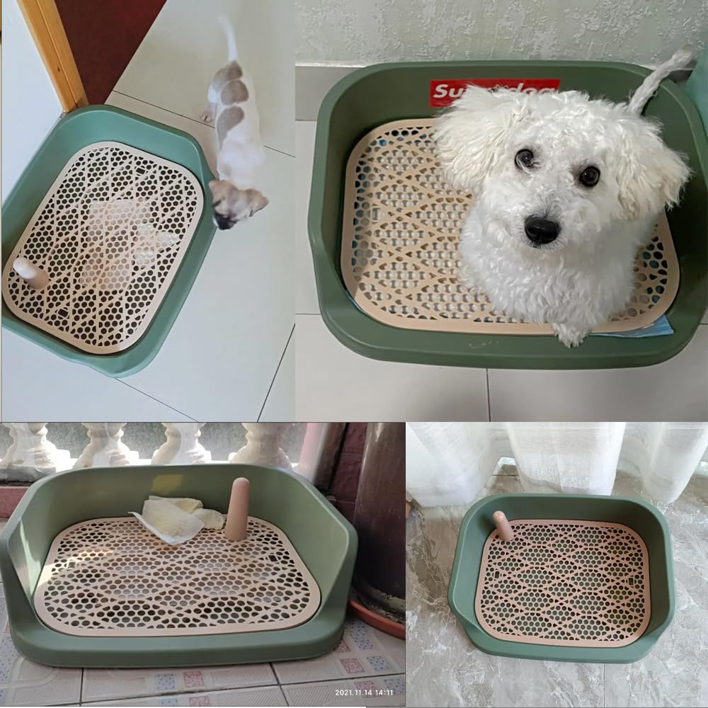 Bandeja de entrenamiento para mascotas, diseño de rejilla con borde elevado -60 x 50 vm (verde oscuro)