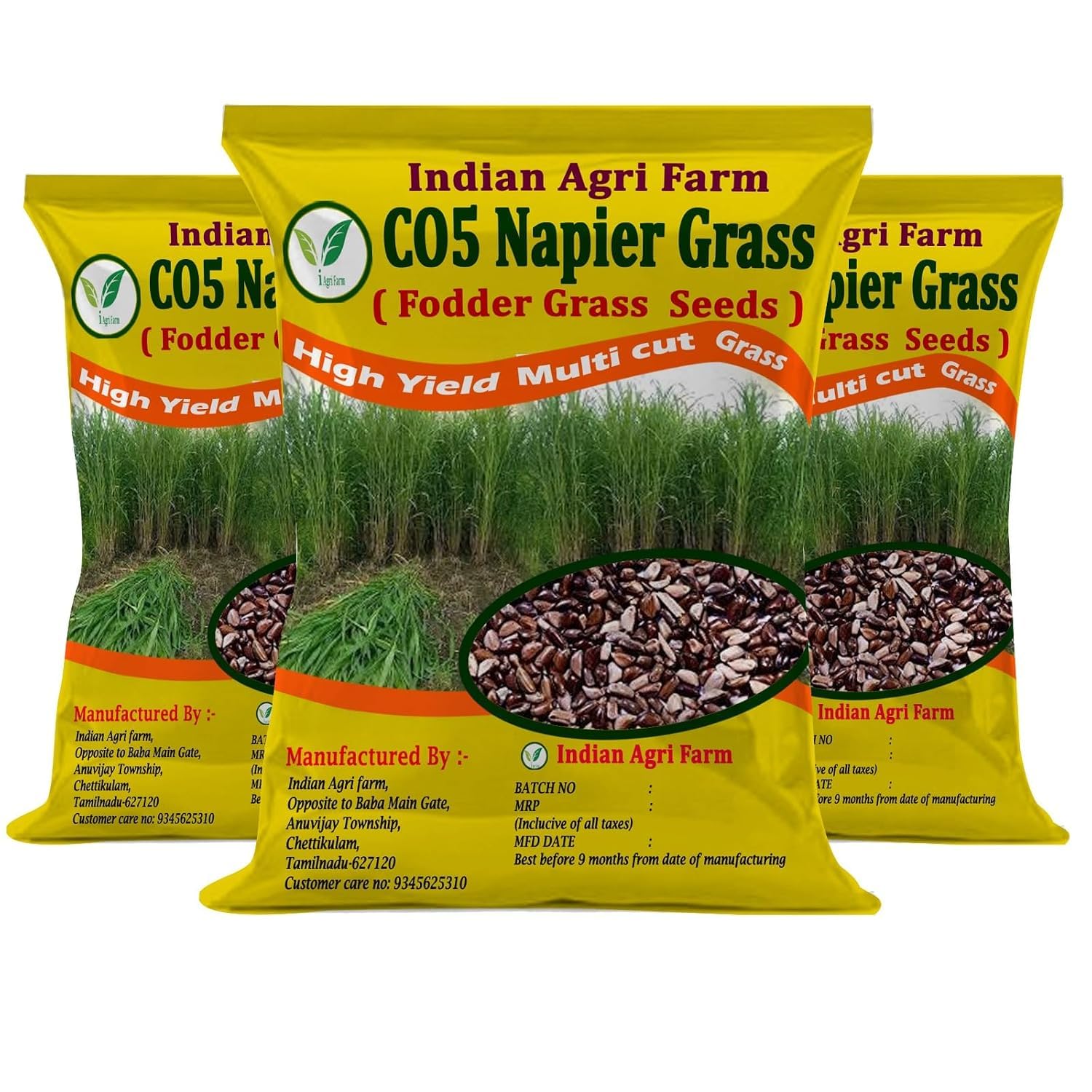 Napier Grass Seed - Goat, Cow, Livestock Feed -1