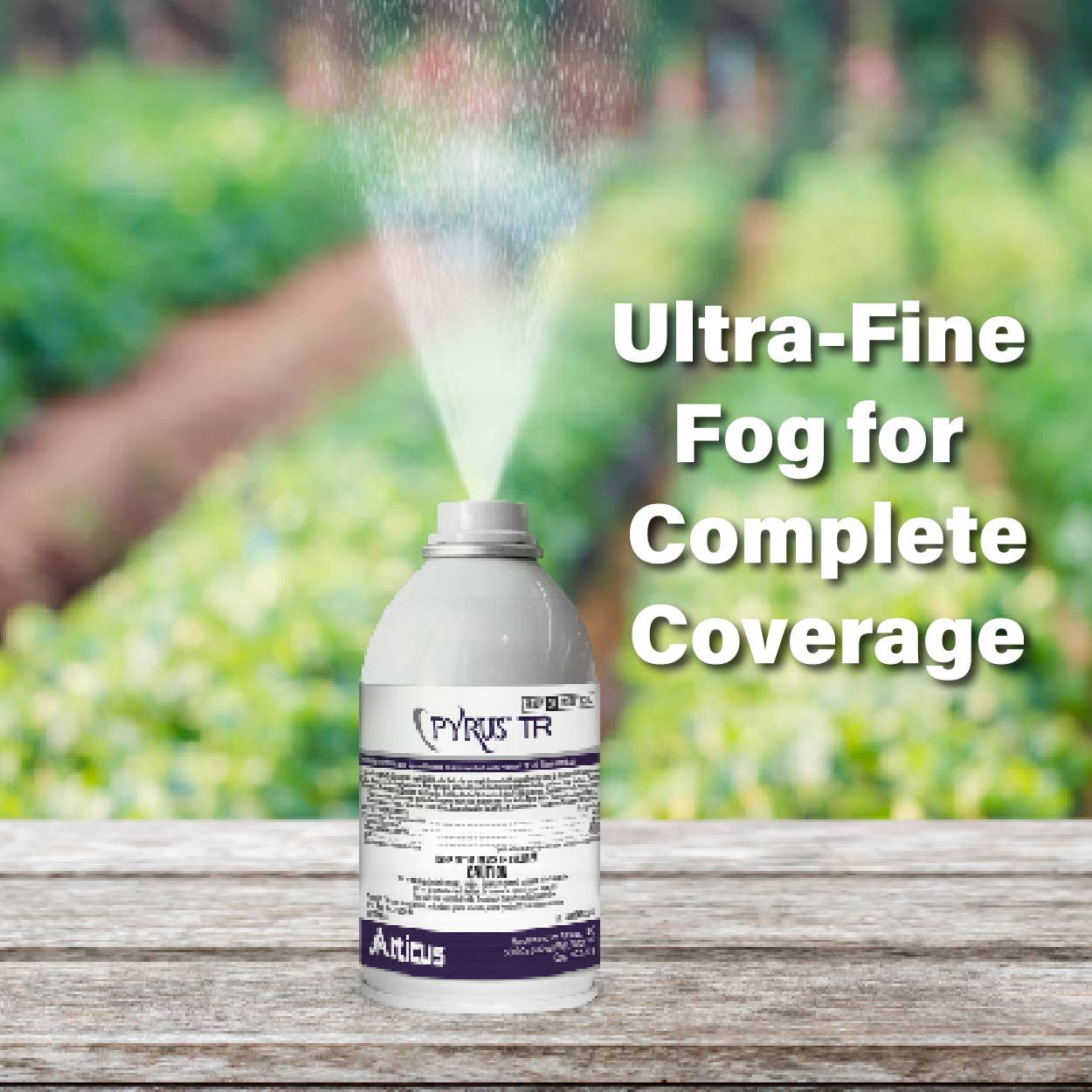 Fogger Bomb For Gnats at Troy Gearhart blog