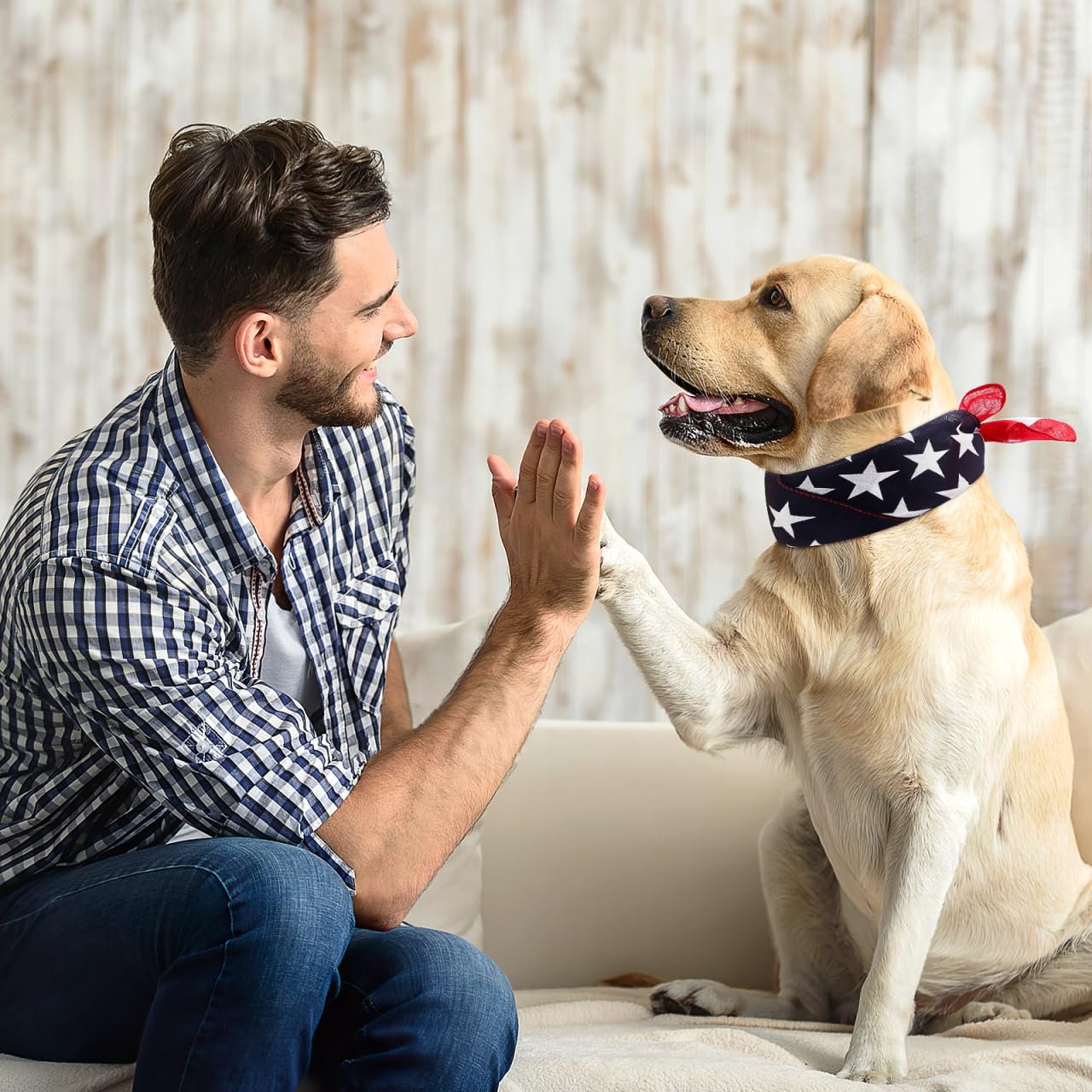ValicLUD Bandana Triangulaire pour Chien Motif Drapeau américain