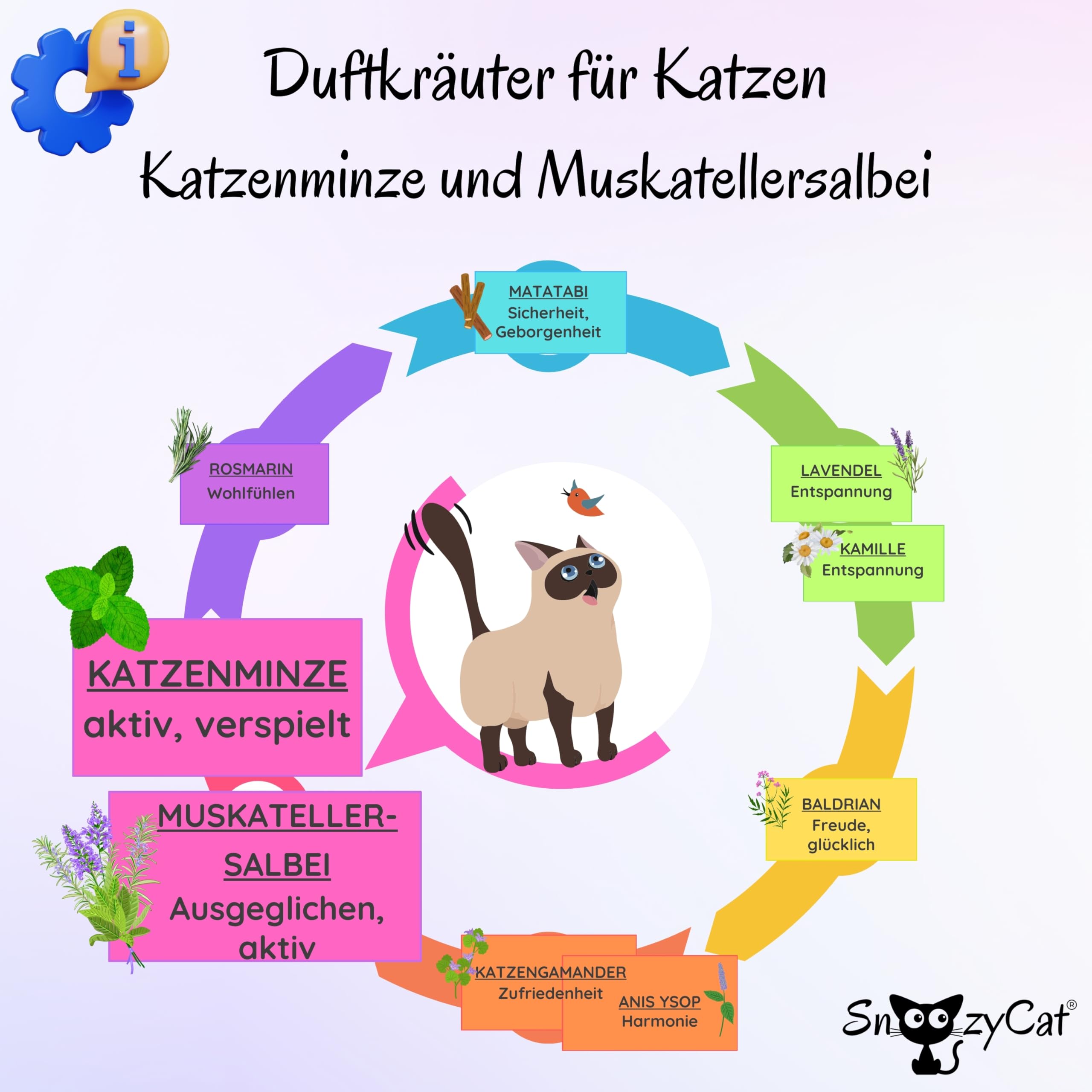 Premium Katzenminze Katzenkissen 2er Set + 14 Nachfüllpads – wiederbefüllbares Katzenspielzeug, waschbare Duftkissen aus Oeko-TEX® Baumwolle, Made in Germany