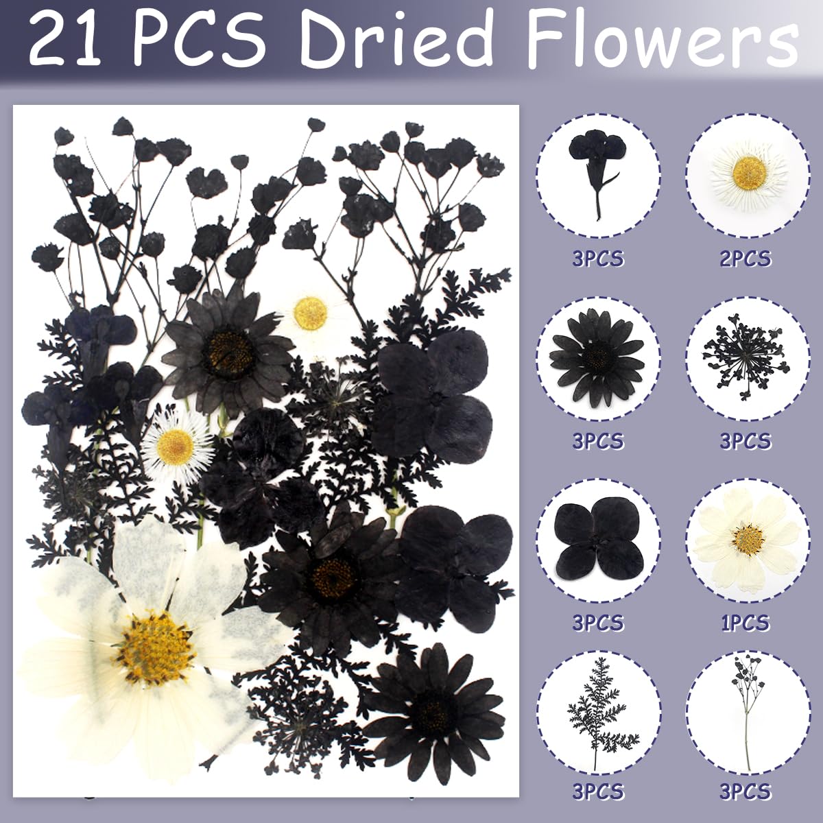 Cinvo 63 Pcs Real Dried Pressed Flowers and Leaves Black White Natural Dried Petals with Tweezer for Candle Resin Jewelry Soap Nail Pendant Phone Case Crafts Making Floral Decors DIY Embellishments - Image 2
