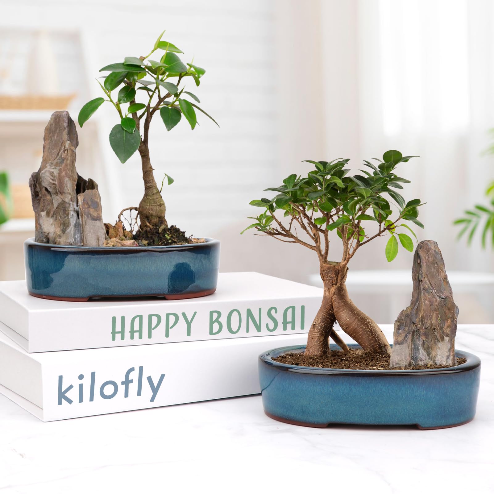 Happy Bonsai 4 (10cm) Mini Groene Potten Waarde Set van 2