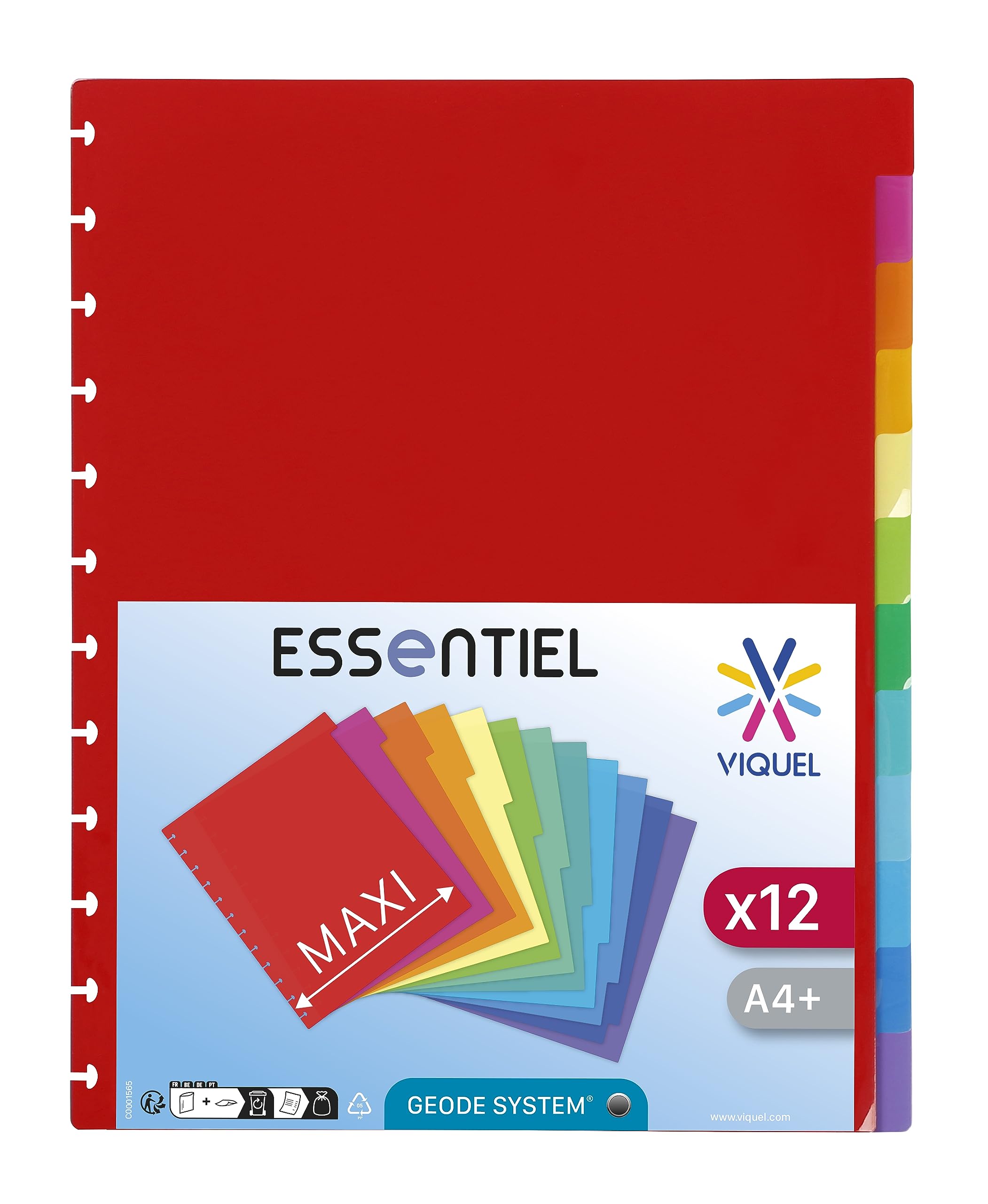 Viquel - Pack of 12 Maxi A4 Dividers with Special Perforation for Geode Presentation Folders with Removable Pockets