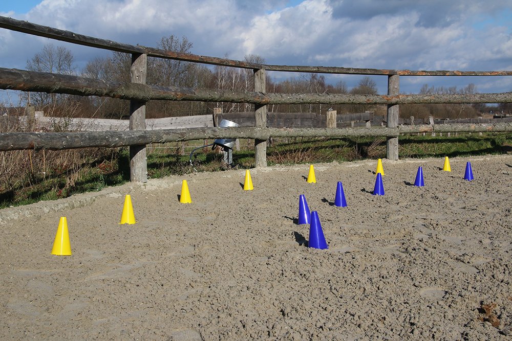 Vinex - 20er Pylonen-Set + Tragetasche, 23cm hoche Sport-Hütchen für Hunde- & Pferdesport, Dualgassen, Training, Markierungskegel für innen & außen, robust & transportabel, Gelb/Blau