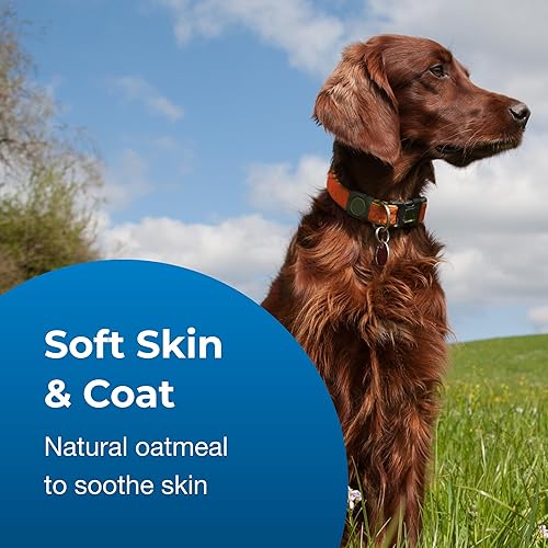 Miniatura 4 de PetAg Fresh 'n Clean Oatmeal 'n - Champú de bicarbonato de sodio 101 concentrado, aroma tropical fresco, 128 onzas líquidas (1 galón)