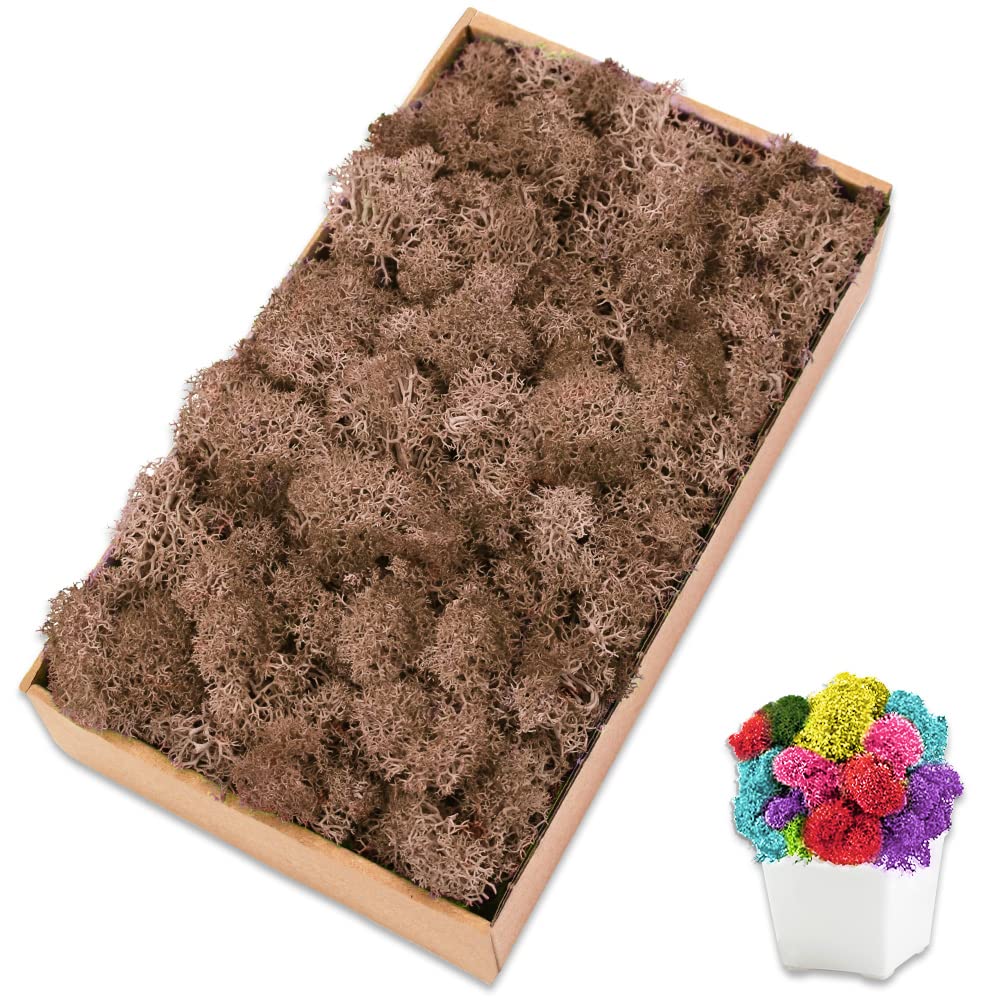 Preserved Reindeer Moss, 7 oz Brown Moss for Crafts