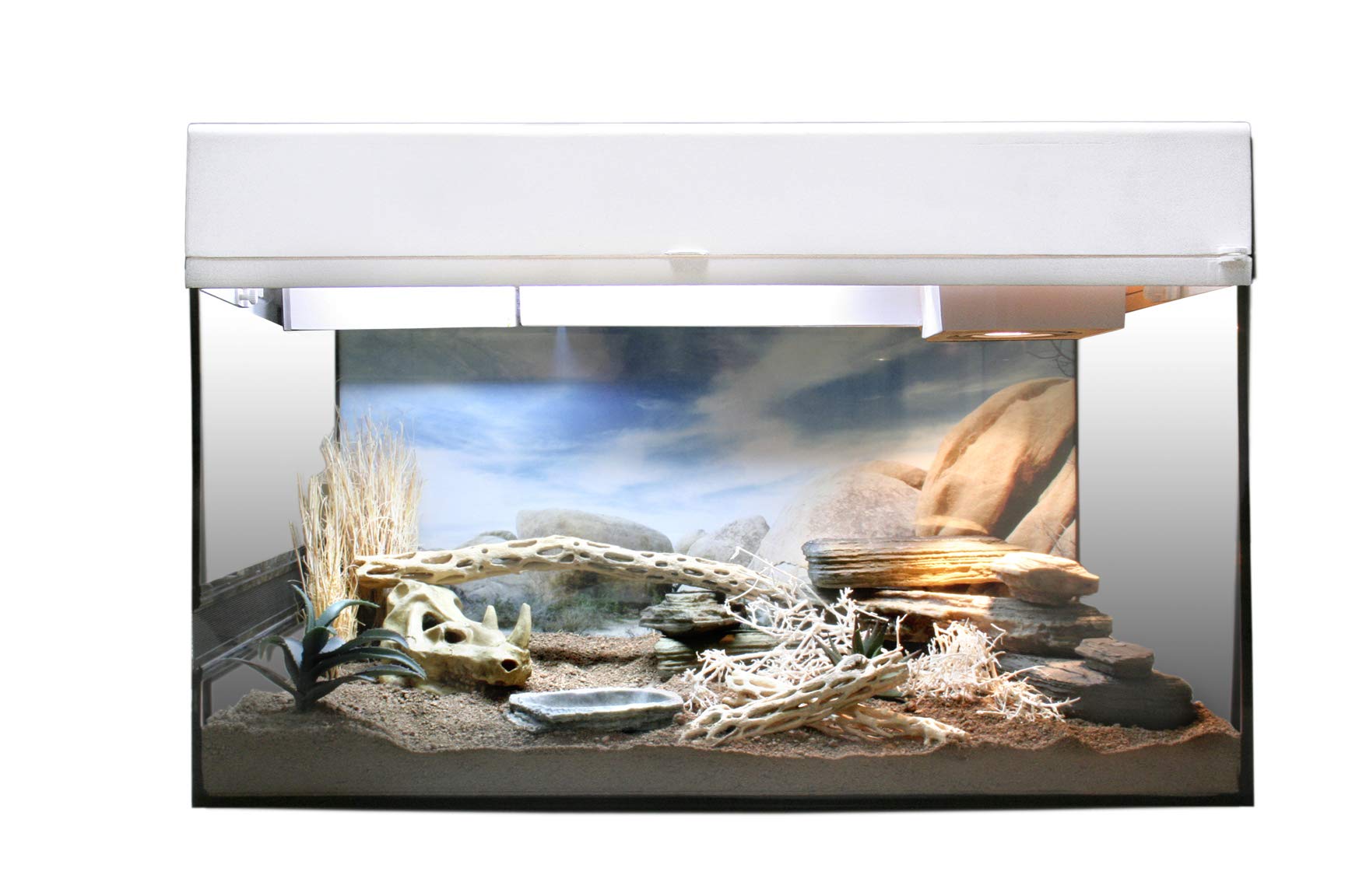 Lucky Reptile Kit de Inicio geco de Arena 50 cm - Set Completo de terrario para gekkos pequeños Kit de terrario para hasta 4 gecos - Set de Inicio lagartijas Color Blanco