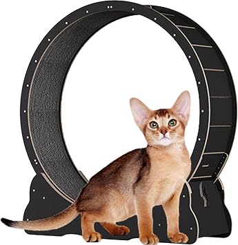 Cat Wheel for Indoor Cats, Wooden Cat Exercise Wheel, Cat Running Wheel with Brake, Cat Interactive Toy, with Lock and Carpeted, Fitness Weight Loss Device for Cats,Black-XL