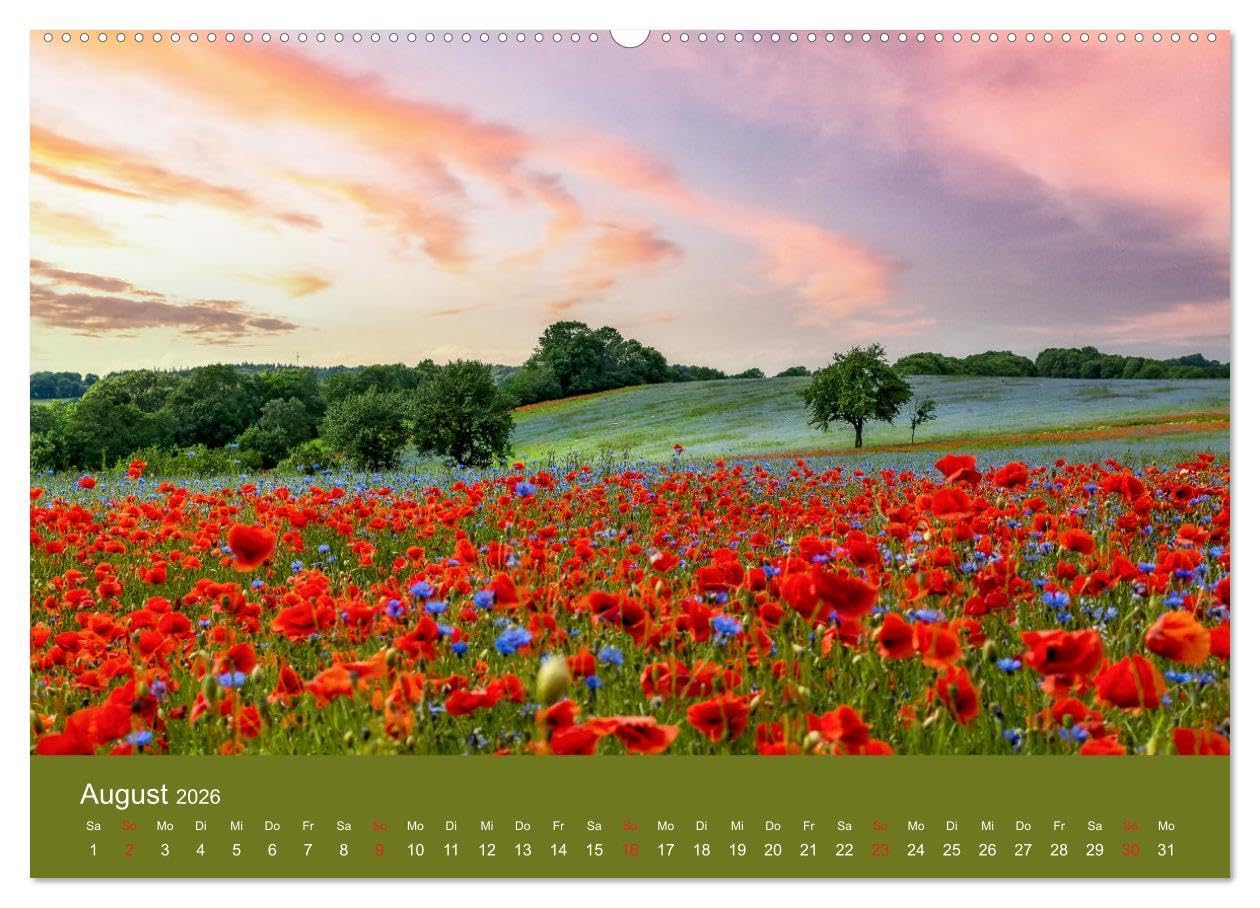 Mohnblumen Romantik (hochwertiger Premium Wandkalender 2026 DIN A2 quer), Kunstdruck in Hochglanz: Mohnblumenfelder und Blüten (CALVENDO Orte)