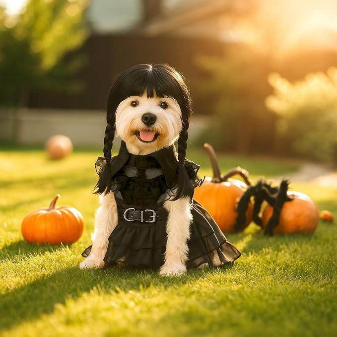 Disfraz de Halloween para perro talla L con vestido y peluca miniatura 6