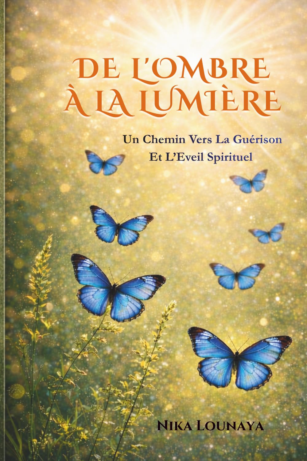DE L'OMBRE A LA LUMIERE: Un Chemin Vers La Guérison Et L'Eveil Spirituel