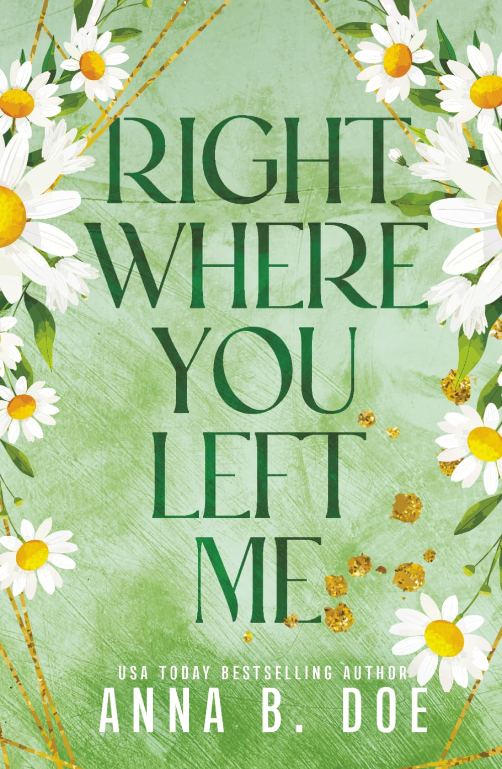 Right Where You Left Me: A fake dating small town romance (Special edition) (Bluebonnet Creek: Discreet Edition)