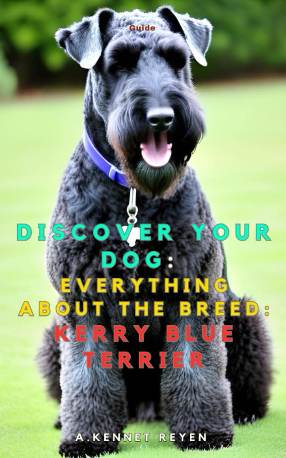 Scopri il tuo Cane:Tutto sulla razza: Kerry Blue Terrier