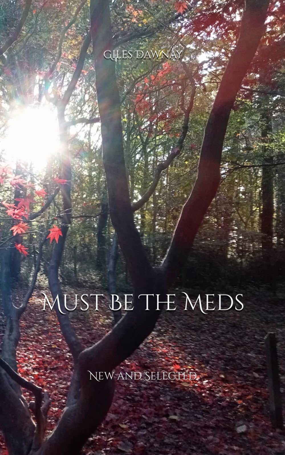 Must Be The Meds: new and selected poetry