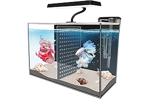 3-Gallon Betta Fish Tank with Divider
