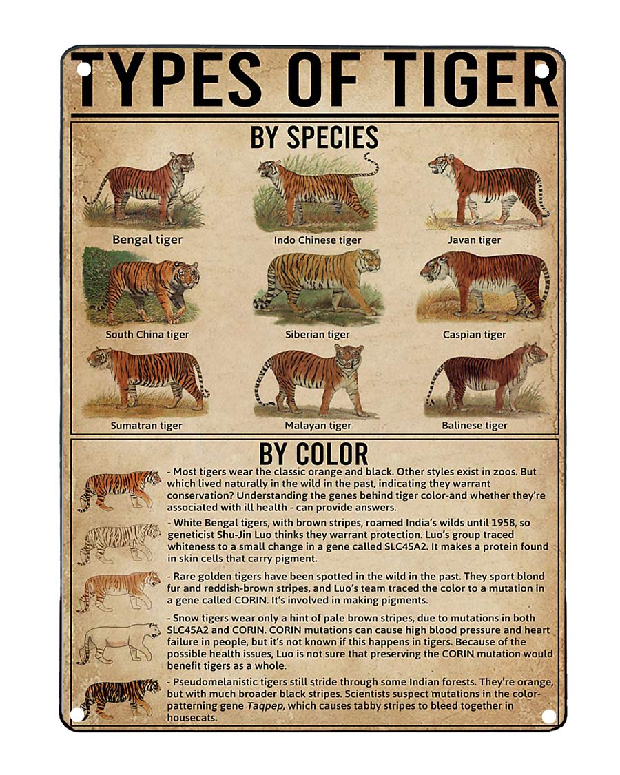 C-05 Types Of Tiger Posters Species Color Science Knowledge Metal Signs Wall Decor Retro Home Decor Room Decor Club Printing Plaque 12X17 Inches