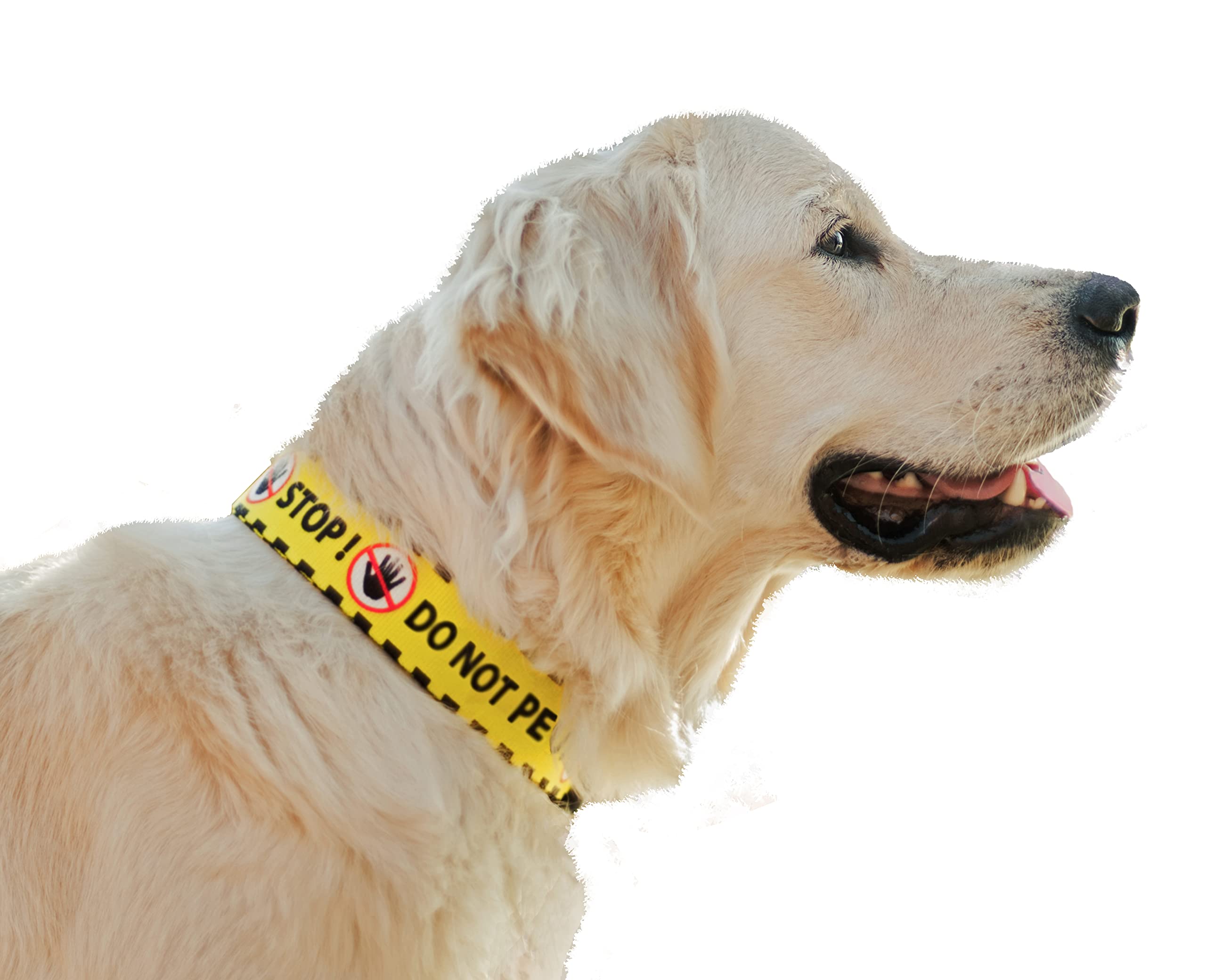 Dingo Waldemar RutkowskiMaterial – Handmade, Adjustable, Recycled Material, Black/Yellow with “DO NOT PET” Warning Text for Safer Dog Walks, Size L (15362)