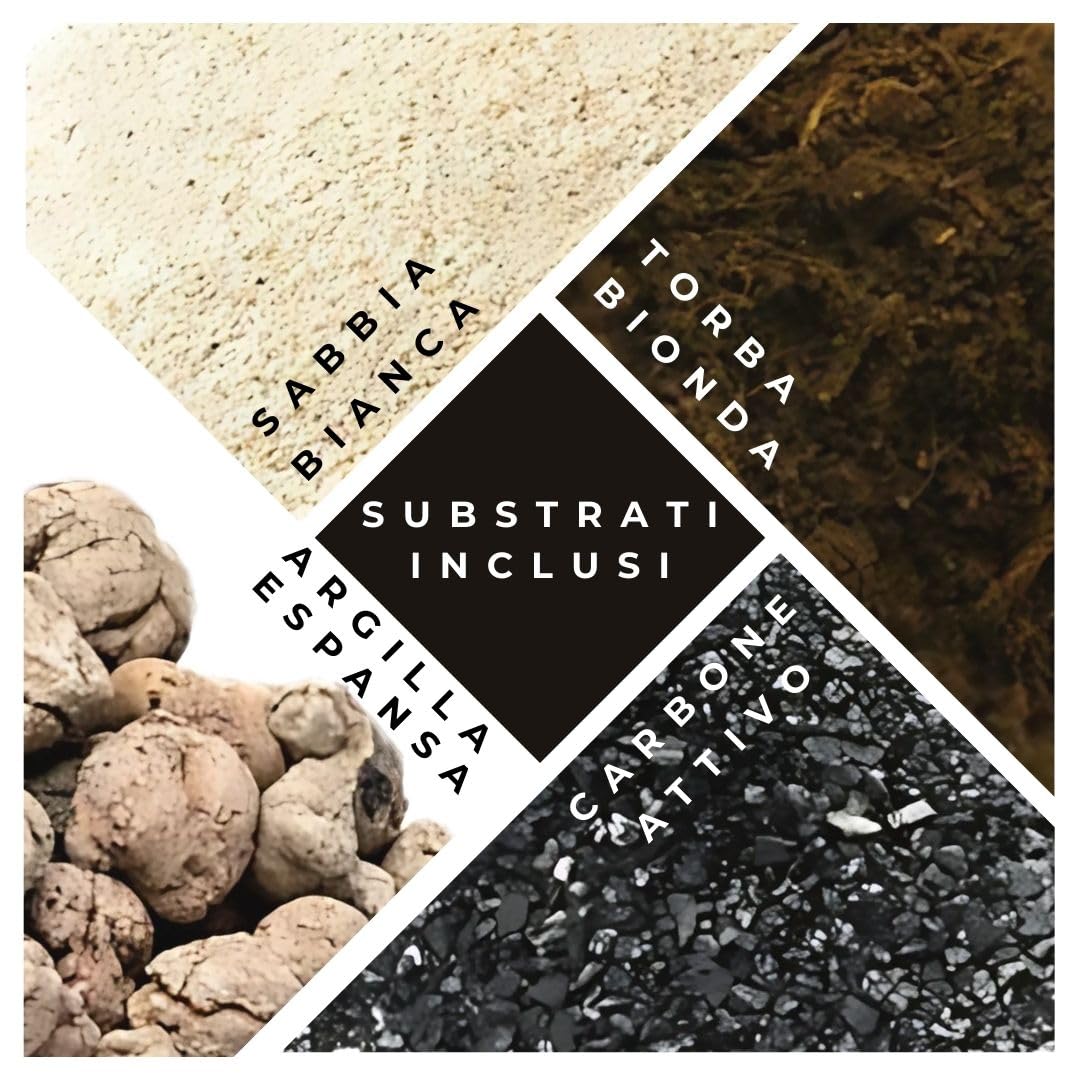 I GIARDINI DI GIULIA - Kit Terrarium DIY | Contenedor Geométrico de Vidrio y Hierro | Incluye 3 Plantas y Sustratos | Ideal para Diseño de Interiores, Negro y Transparente