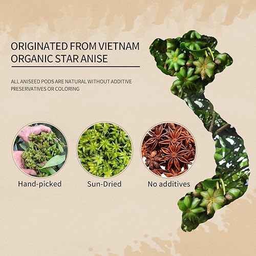 Miniatura 4 de 52USA Anís estrellado orgánico, 4 onzas (paquete de 1), anís estrellado chino verificado sin OMG, cápsulas de anís estrellado seco para té y hornear