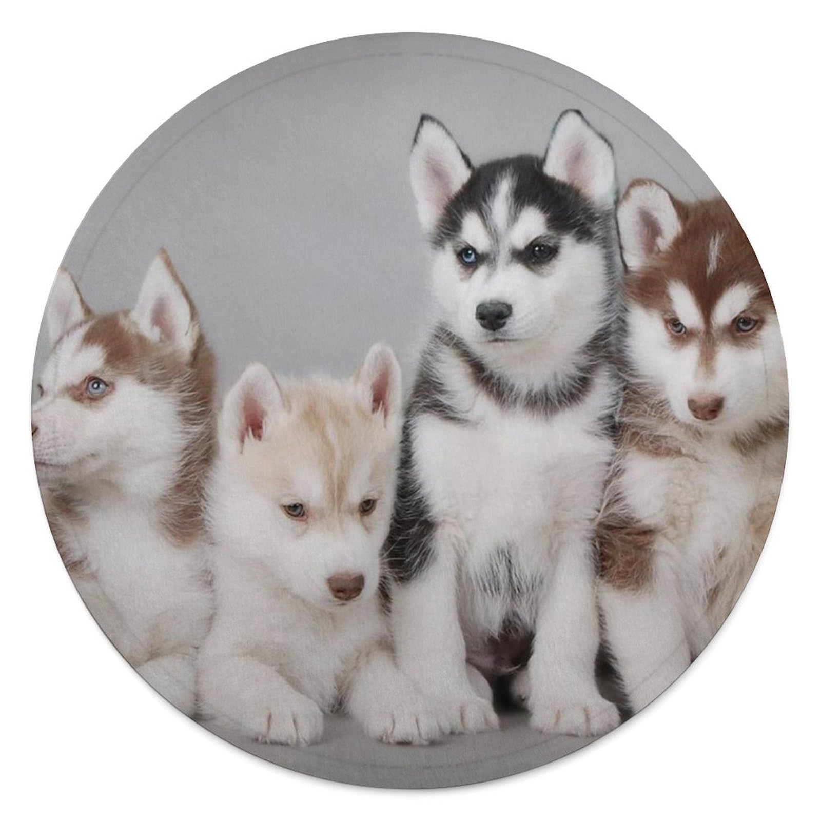 Couverture polaire husky pour frissons hivernaux | Plaid flanelle bureau