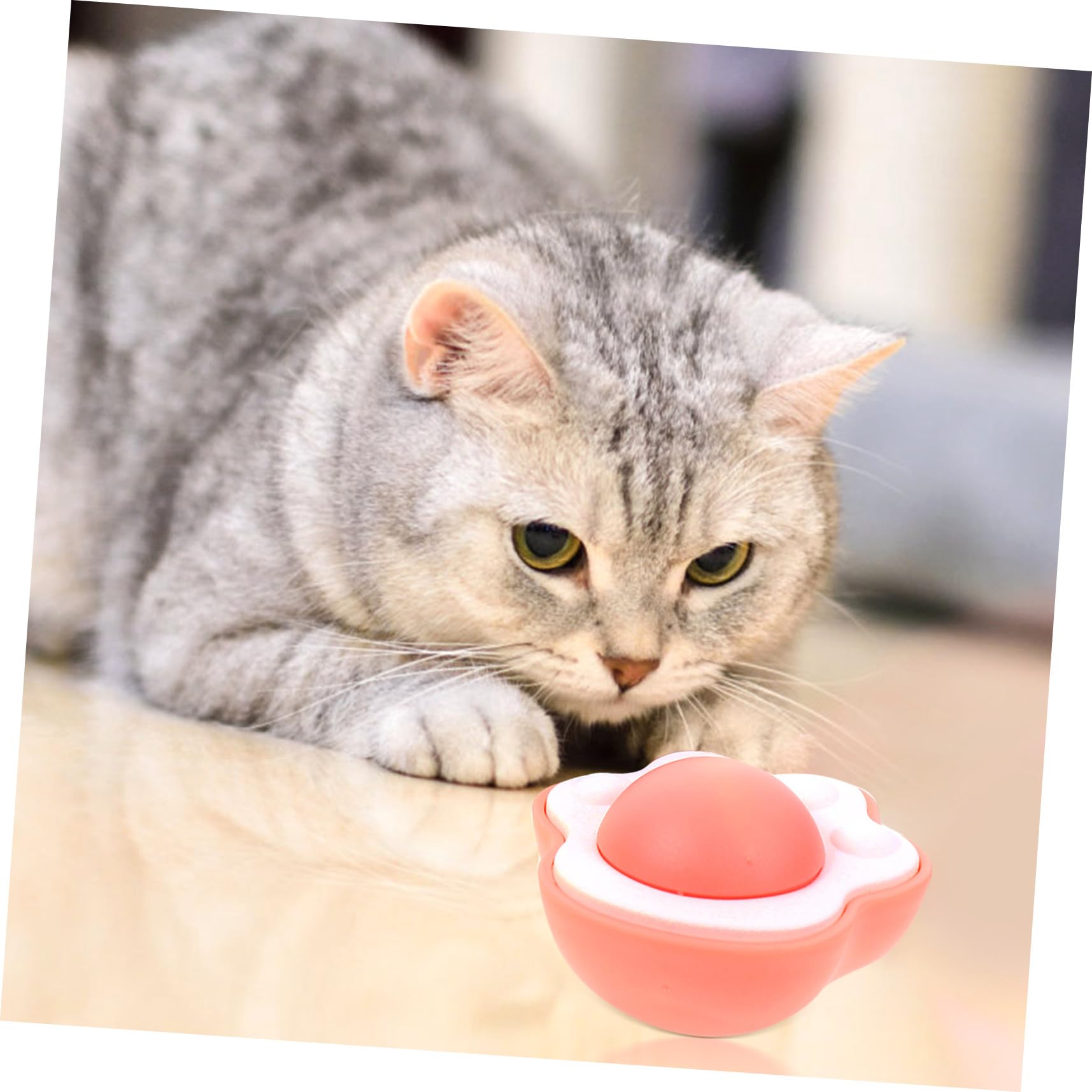 VANZACK 10sätze Rotierender Katzenminze Spielzeug Für Katzen Selbstamüsierendes Spielzeug Und Fördert Bewegungsfreude Und Wohlbefinden Haustiere