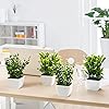 Product Photo 6