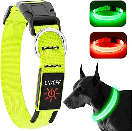 KOSKILL LED Hundehalsband grün L wasserdicht USB-aufladbar