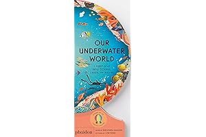 Kids Dive into Oceans, Lakes, Rivers Underwater World
