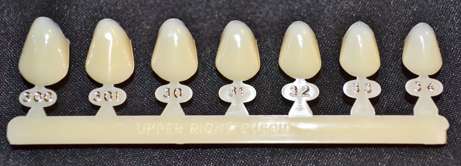 #6 Upper Right Cuspid Tooth - Dental Polycarbonate Temporary Crowns 7 Sizes