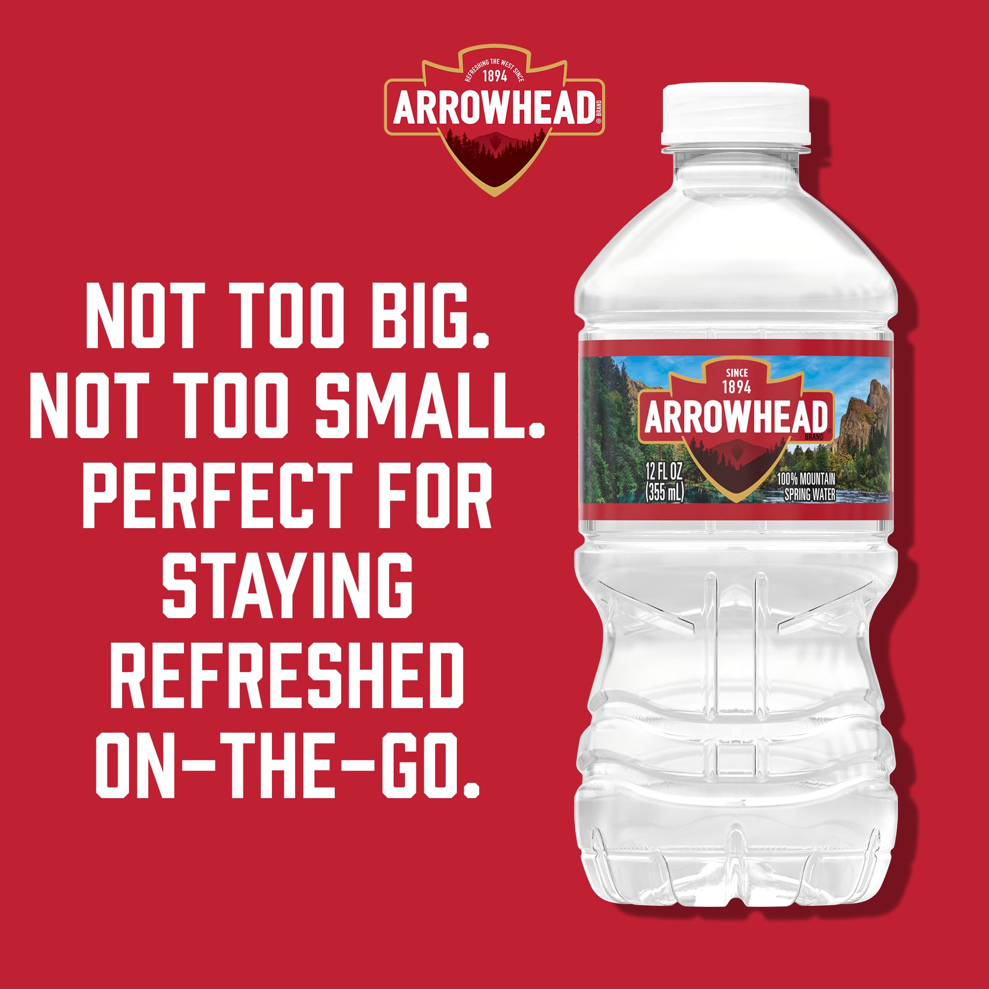 Arrowhead Mountain Spring Water Bottles, 24 Pack - Still Bottled Water with Naturally Occurring Minerals & Electrolytes for Taste - 12 Fl Oz