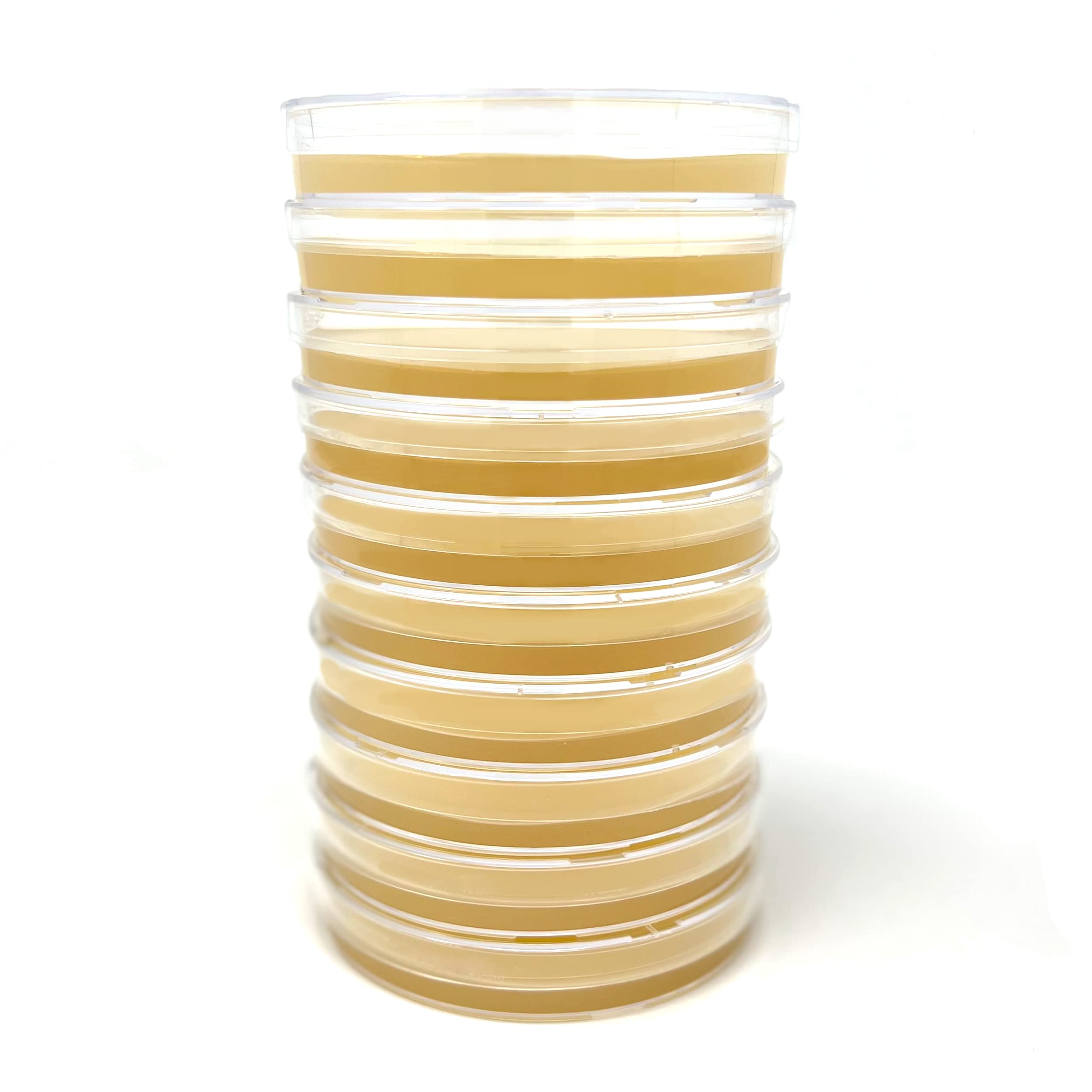 Buy Olympus Myco Malt Yeast Extract Agar (MYA) Plates for Mushroom