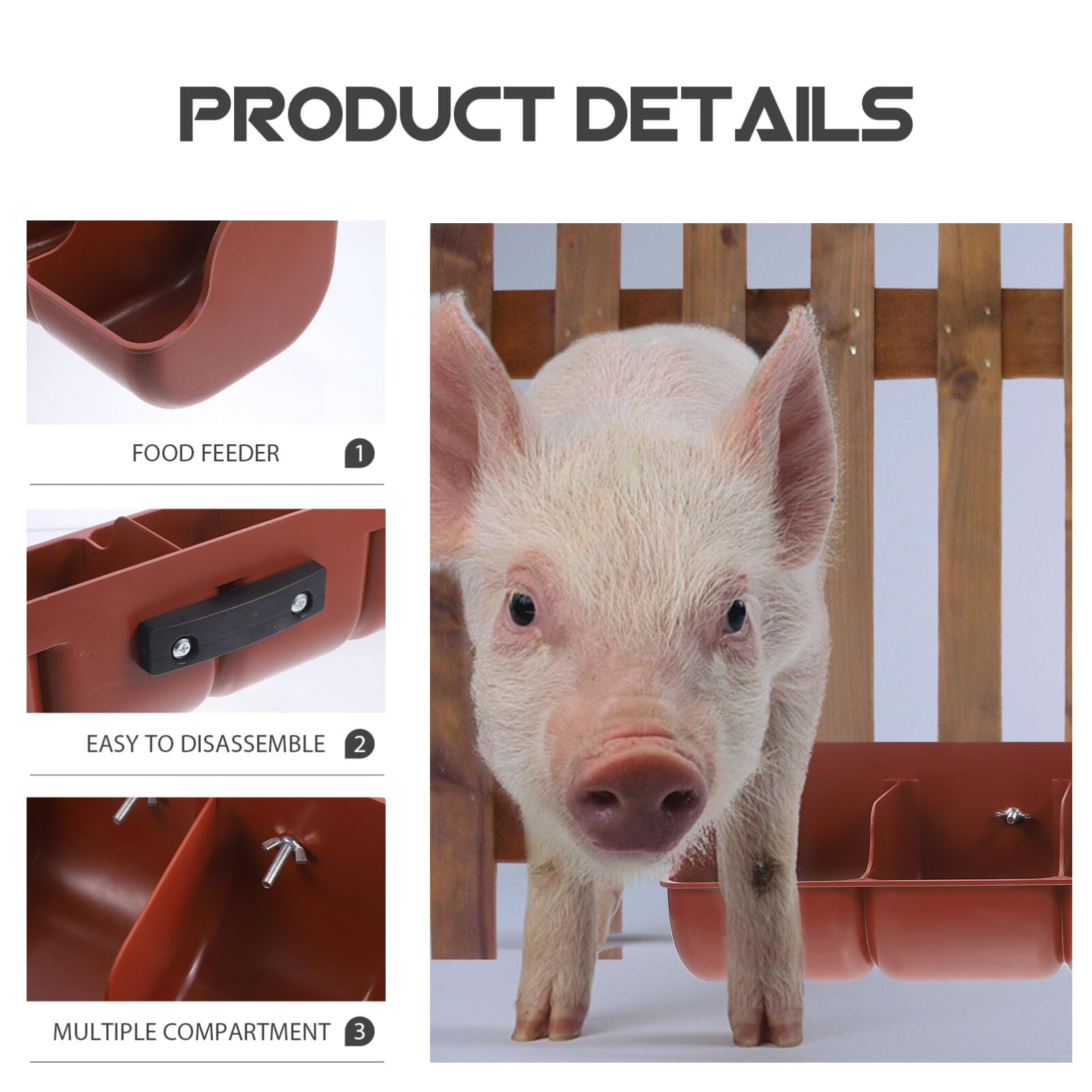 POPETPOP Mangeoire 4 Compartiments Pour Animaux - Pratique, Durable Et Facile à Nettoyer