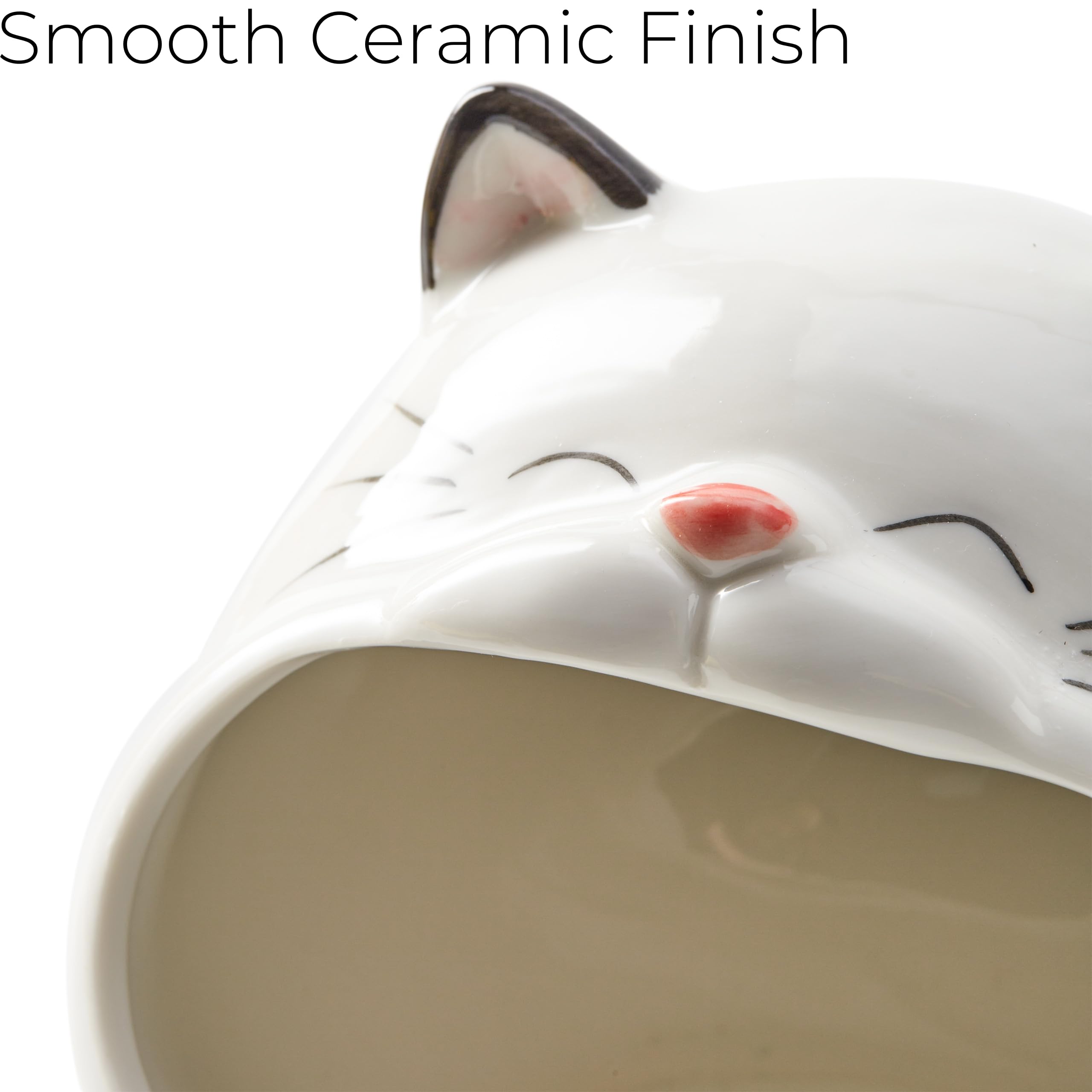 Cute Ceramic Cat Sponge Holder - Kitchen Decor -3