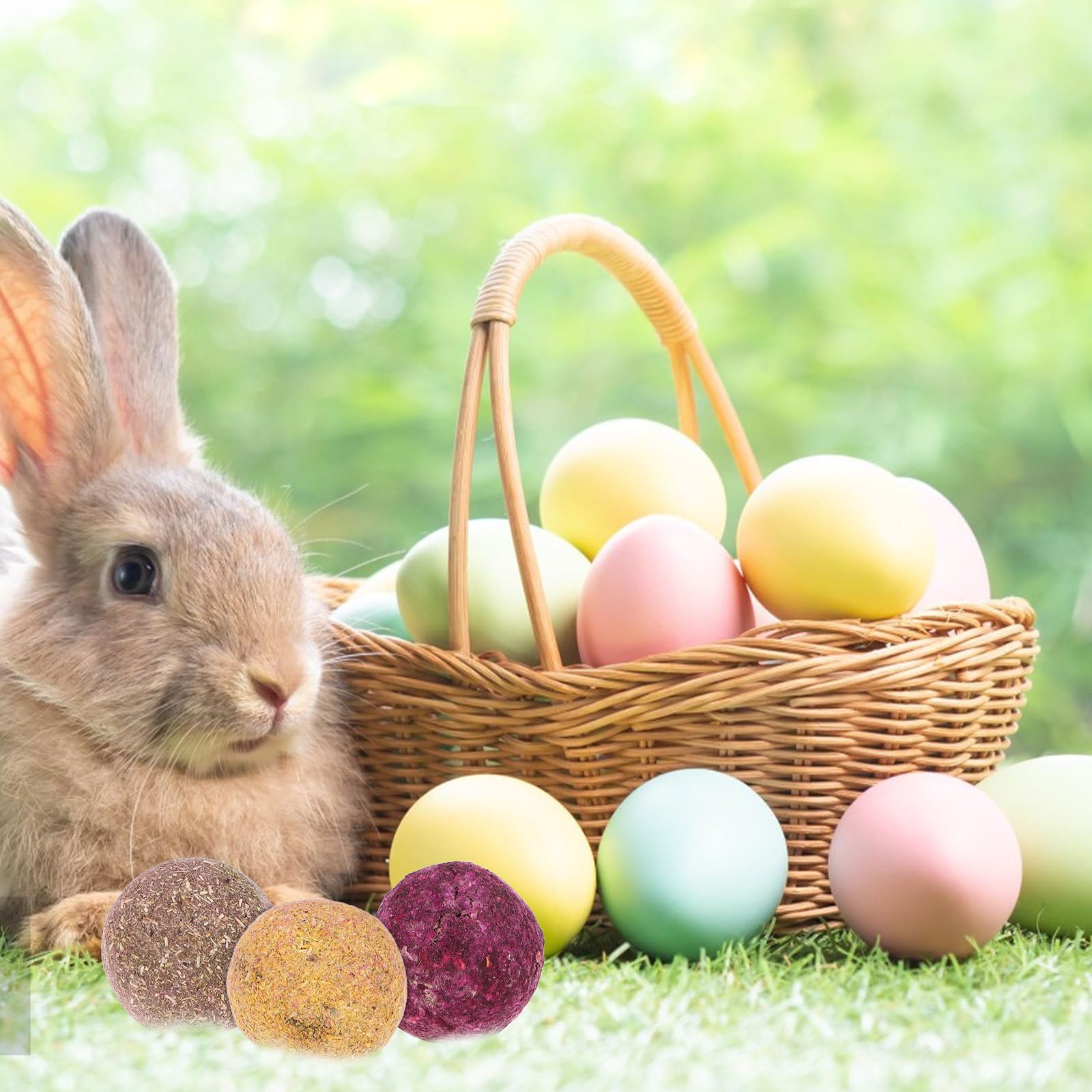 à Mâcher en Bois 3,6 CM pour Lapins et Hamsters Accessoire Dentaire pour Petits Animaux de Compagnie