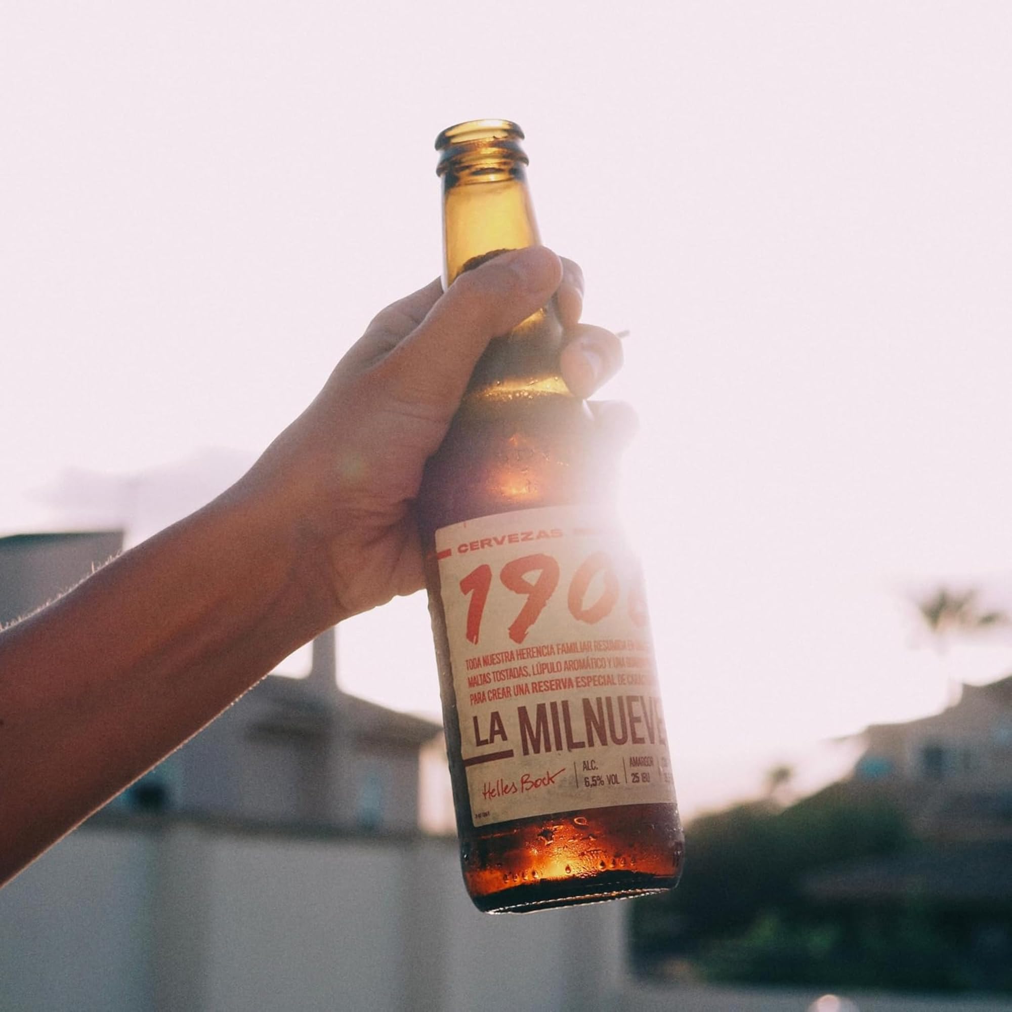 1906 Reserva Especial - Cerveza Lager Extra, Pack de 24 Botellas x 33 cl, Sabor Amargo y Aroma Tostado, Galardonada Internacionalmente, 6,5% Volumen de Alcohol