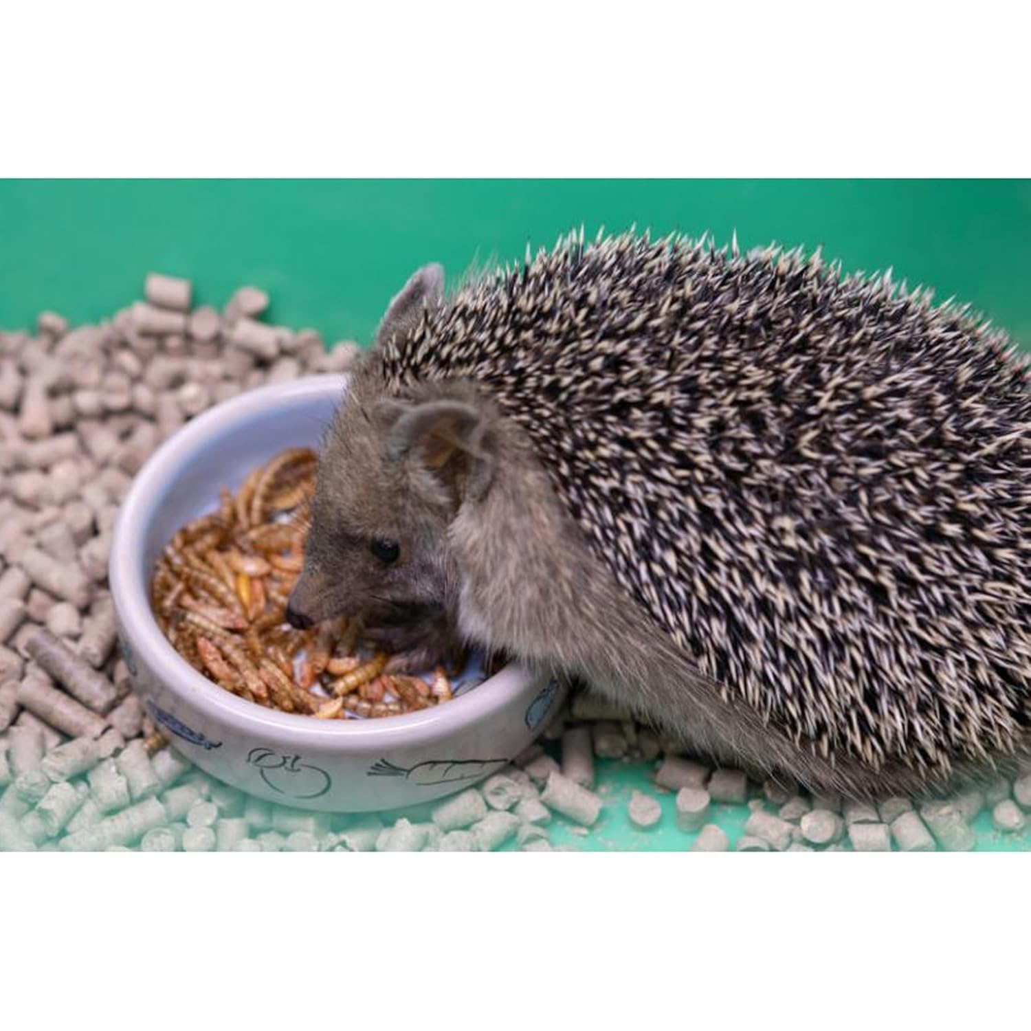 Naturprodukt Ambiopet 5 kg Mehlwürmer getrocknet für Nager Vögel Reptilien Fisch Igel auch Koifutter