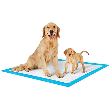 so phresh training pads