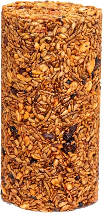 JCs Wildlife Squirrel Stopper Bugs Nuts & Berries Small Cylinder 1.5lbs (6-Pack)