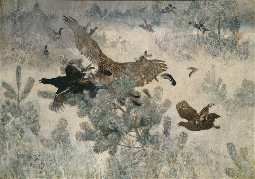 Cuadro enmarcado Hawk and Black Game de Bruno Liljefors con acabado mate