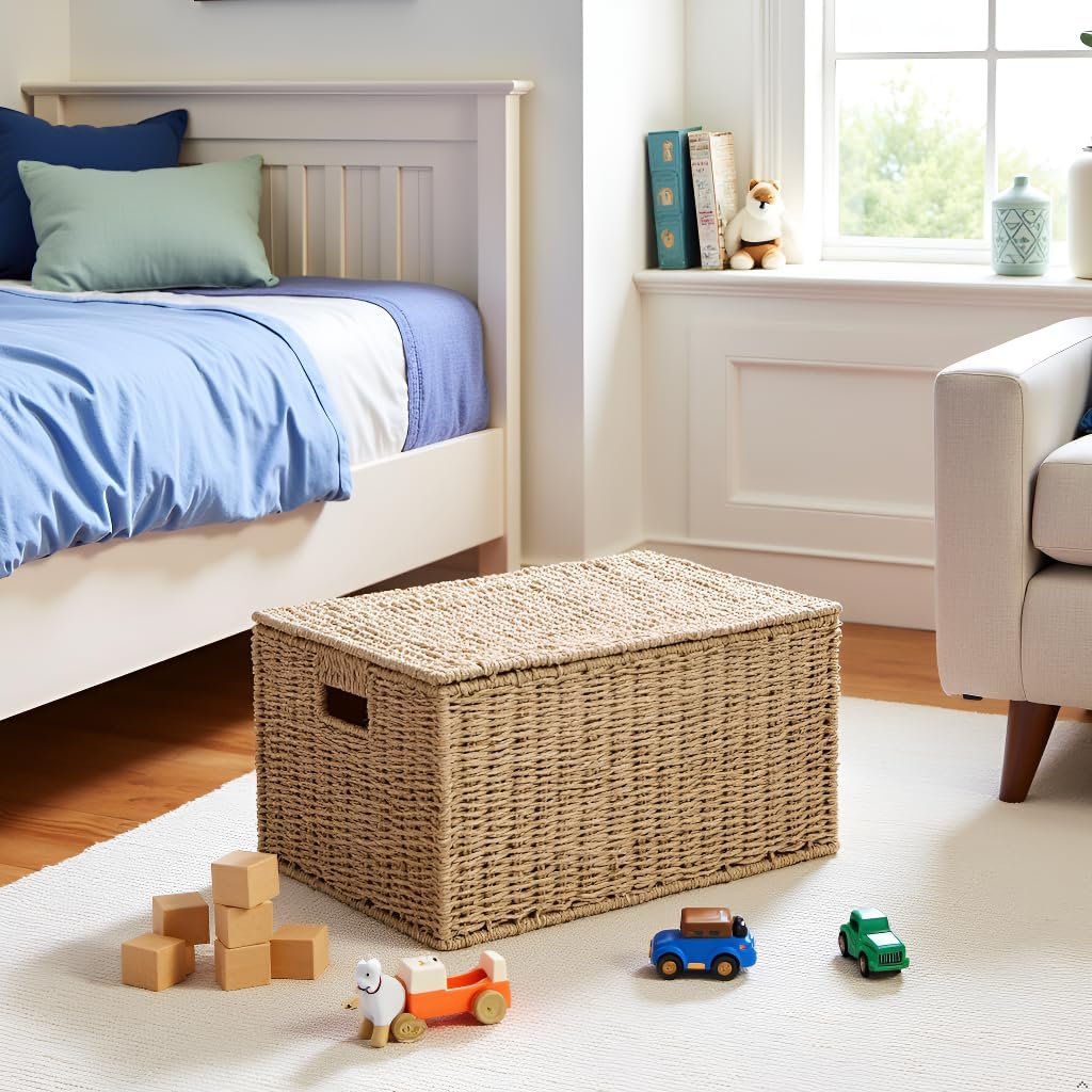Nivora Seagrass Storage Trunk with Lid, 19.7 x 13.8 x 9.8 Inches, Brown – Woven Organizer Basket for Nursery Toys, Office Supplies, Laundry Basket, or Living Room Storage