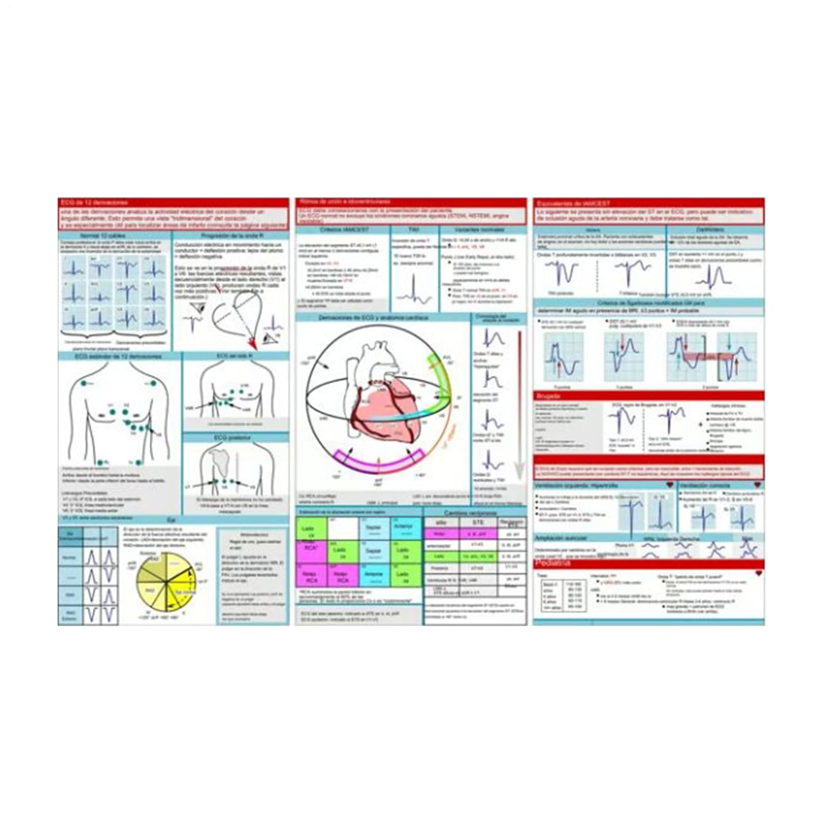 EKG-Taschen-Anleitung, Stabiles EKG-Lernwerkzeug, Perfekt Für Hochfrequenzanwendung, EKG-Taschenleitfaden Für Die Krankenpflegeschule Für Krankenhäuser, Für Krankenhaus, Zuhause, Schule