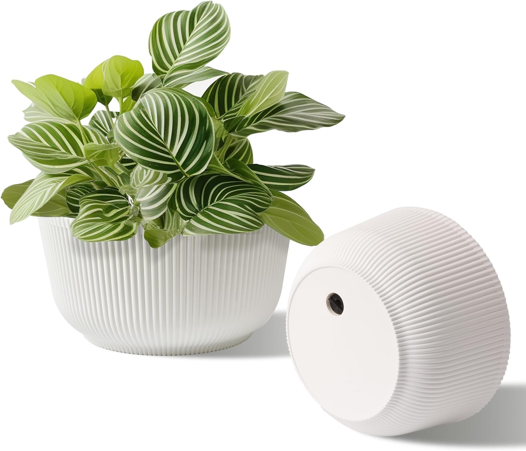 T4U 10 Inch Self Watering Pots for Indoor Plants, 2 Pack Large Plant Pots, Self Watering Planter for Indoor Plants, Durable Plastic Pots (2 Pack,10", White)