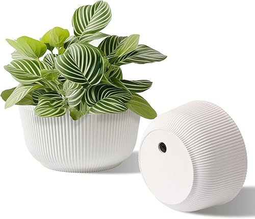 Miniatura 21 de T4U Macetas de riego automático de 6 pulgadas para plantas de interior, paquete de 6 macetas para plantas, maceta de riego automático para plantas